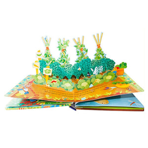 Pop Up Garden 3D Flap Picture Book