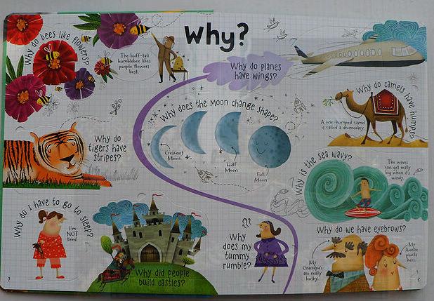 Lift-the-flap Questions and Answers Picture Book